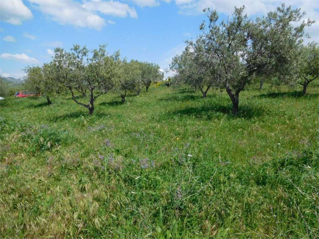 Terreno a Favara in via - Foto 2