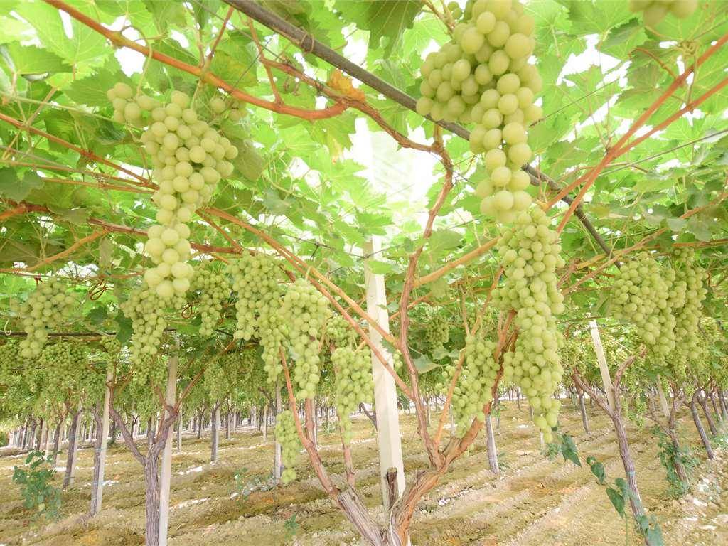 Immobile a Naro in via - Foto 2