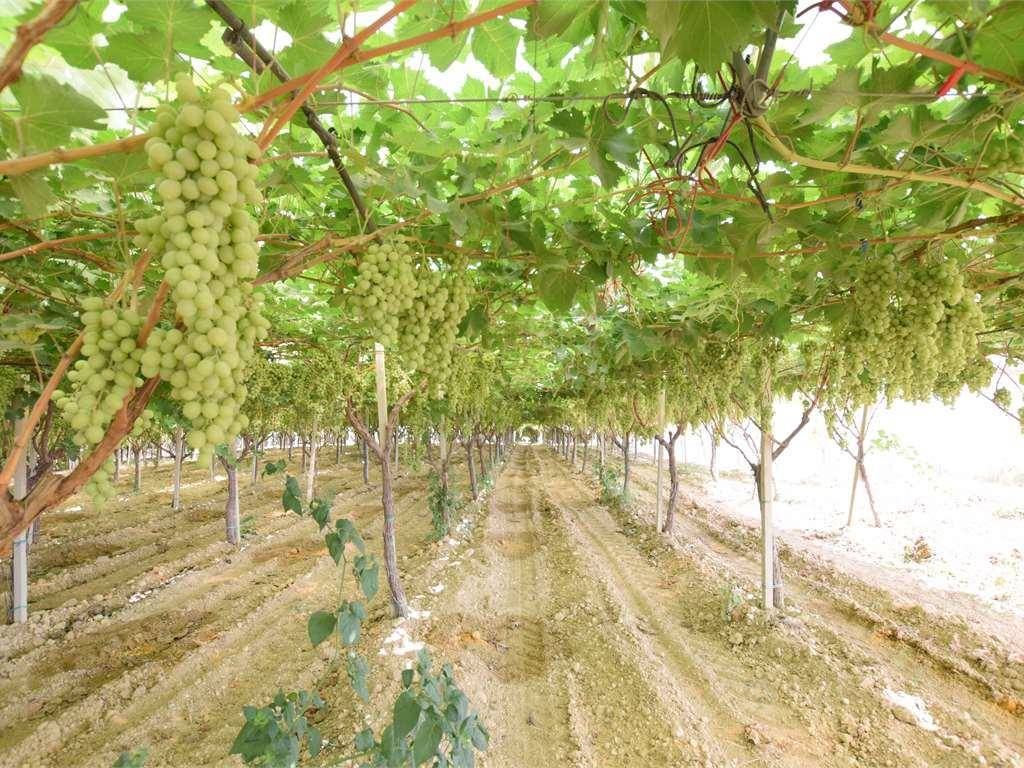 Immobile a Naro in via - Foto 3