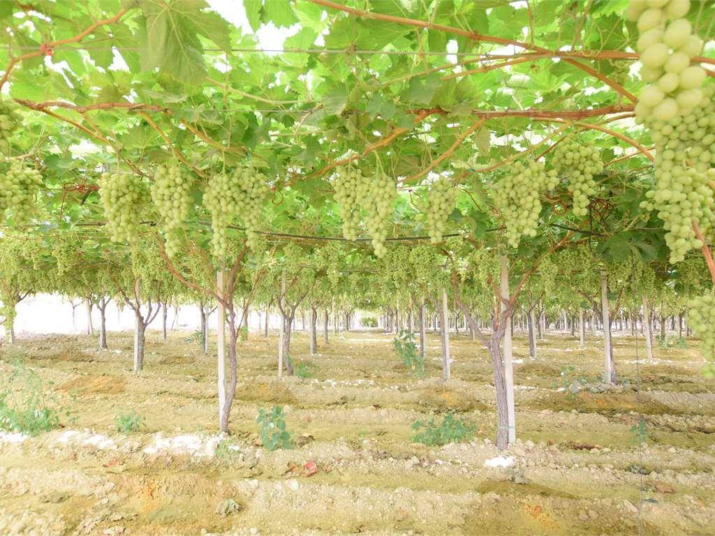 Immobile a Naro in via - Foto 4