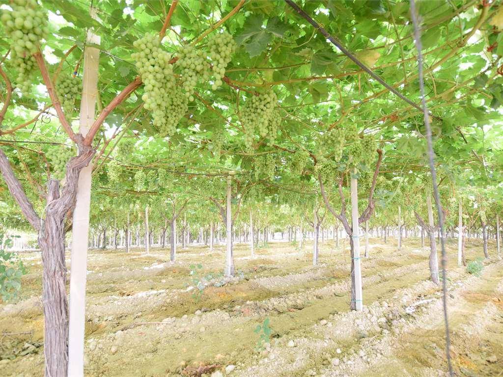 Immobile a Naro in via - Foto 5