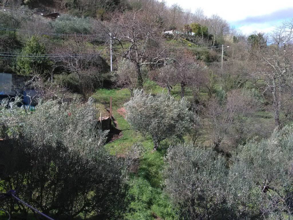 Casa indipendente a Conca della campania in VIA SAN BARTOLOMEO - Foto 5