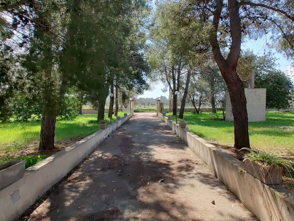 Villa a Sannicola in Contrada Curlo - Foto 2