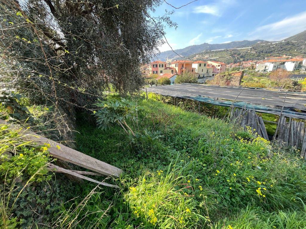 Terreno a Taggia in Regione San Martino - Foto 2