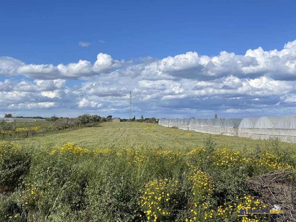 Terreno a Noto in c.da Burgio - Foto 3
