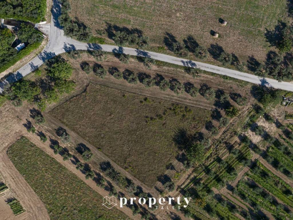 Terreno a Monteprandone - Foto 3