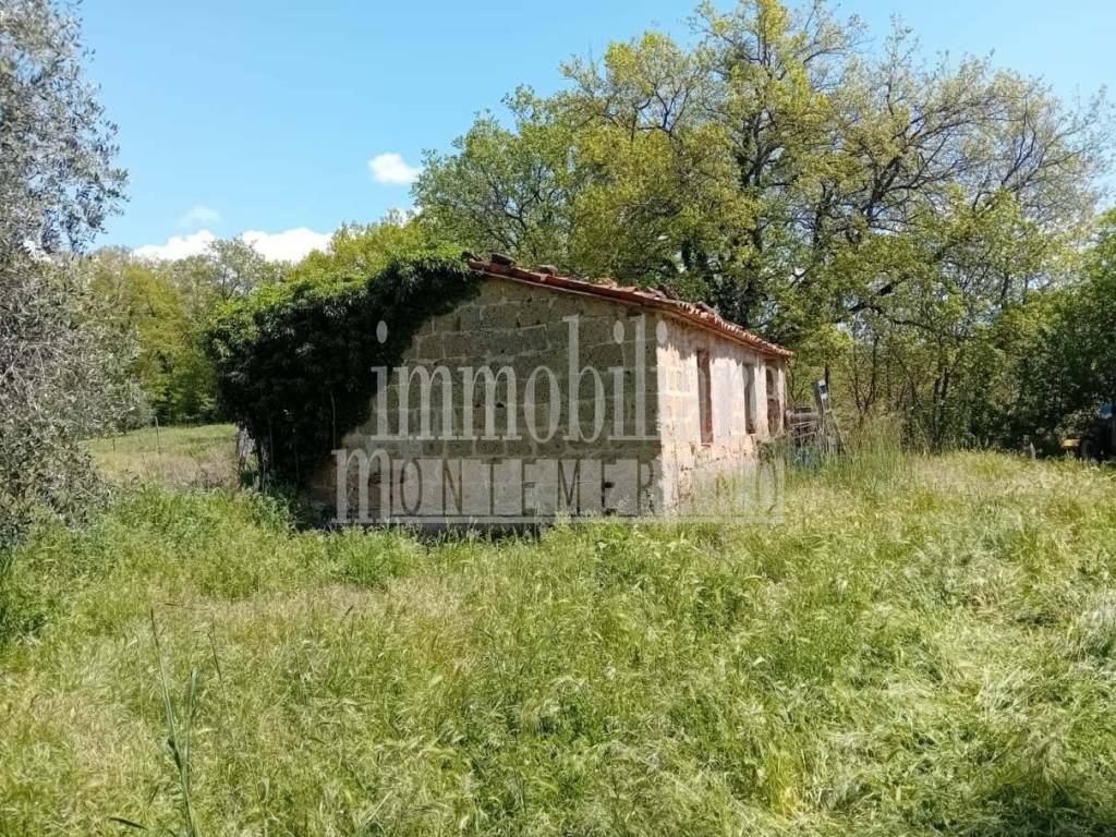 Terreno a Sorano in Case Sparse Tarmato - Foto 2