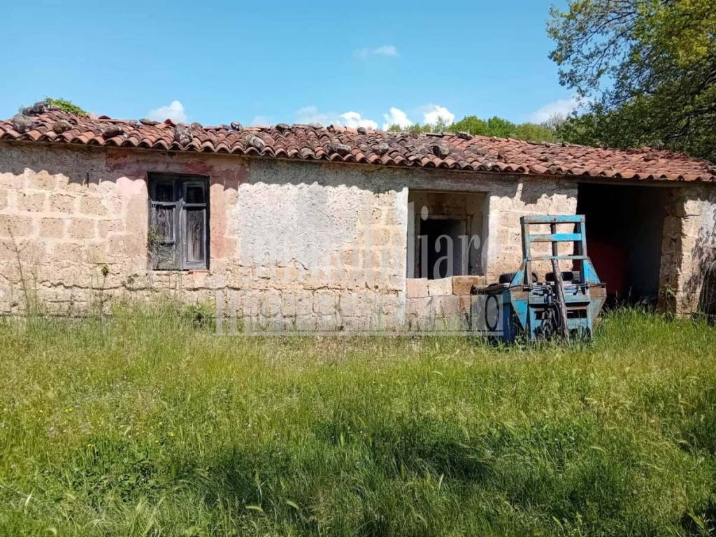 Terreno a Sorano in Case Sparse Tarmato - Foto 5