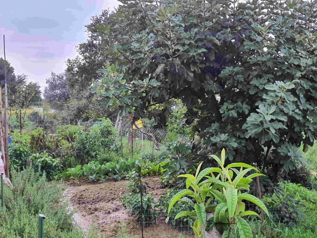 Appartamento a Cinigiano - Foto 3
