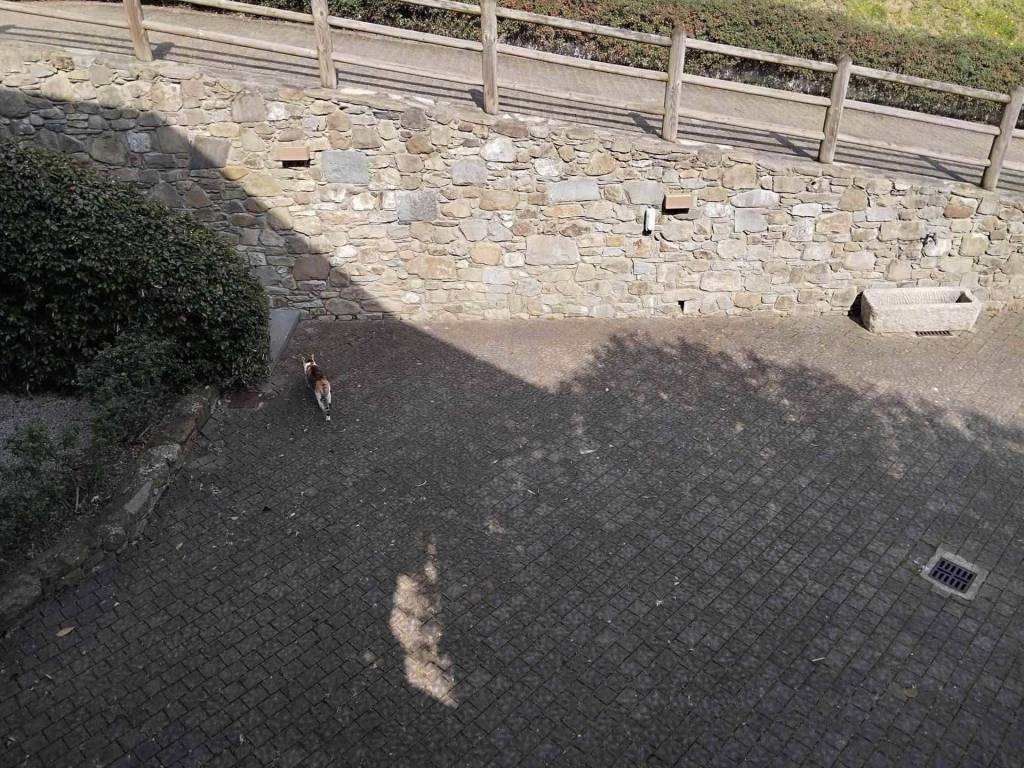 Villa a Beverino - Foto 3