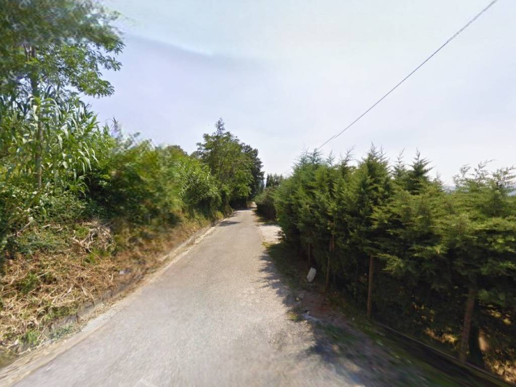 Terreno a Melizzano in Contrada Tuoro delle Tavole - Foto 4