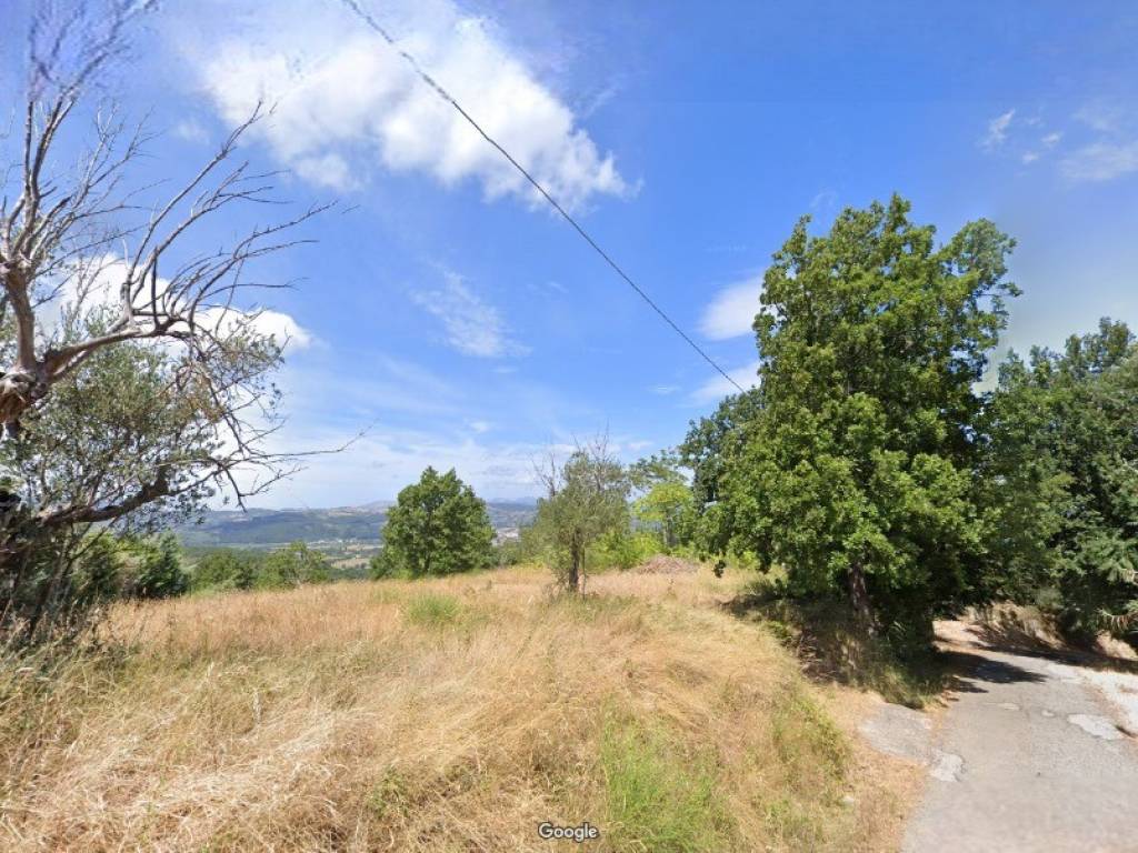 Terreno a Melizzano in Contrada Tuoro delle Tavole - Foto 5