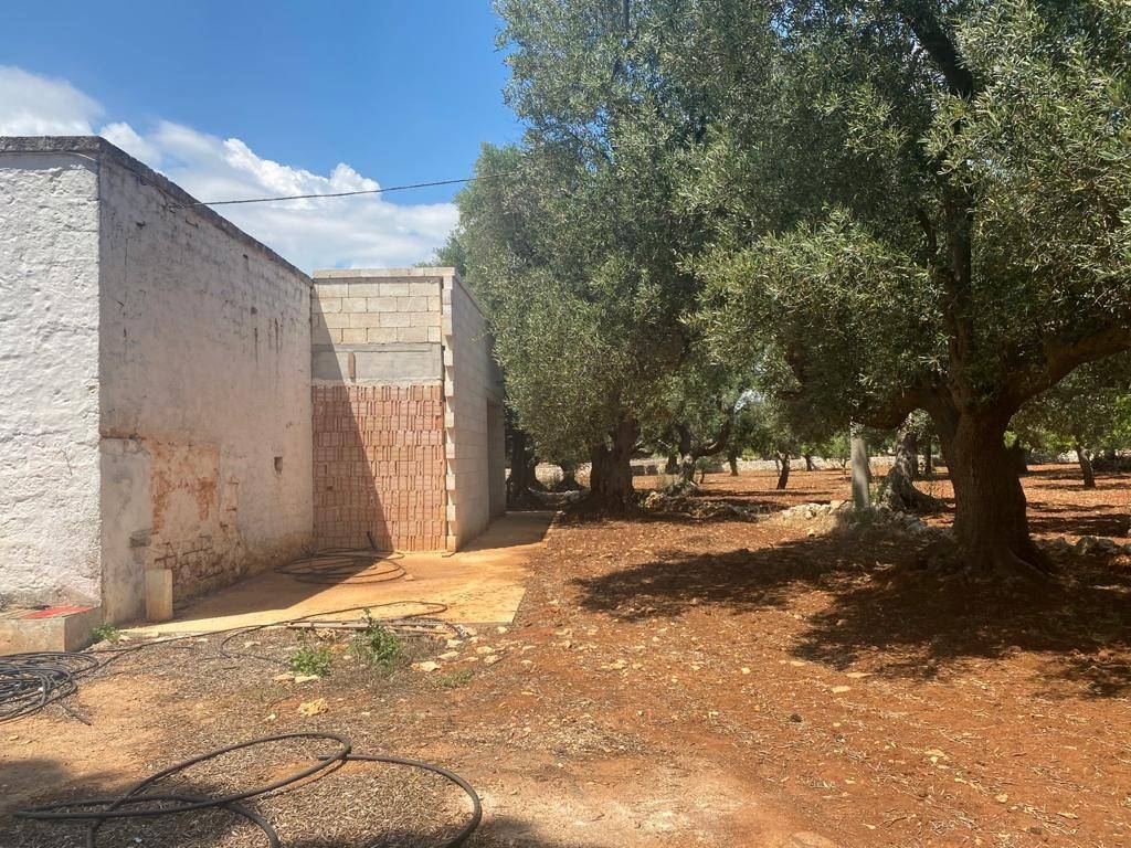 Villa a Carovigno in contrada gavida - Foto 3