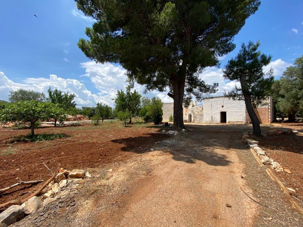 Villa a Carovigno in contrada gavida - Foto 5