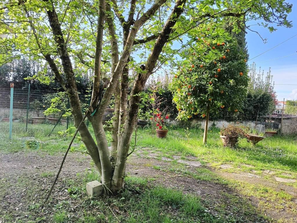 Villa a San giuliano terme in Via Calcesana - Foto 4