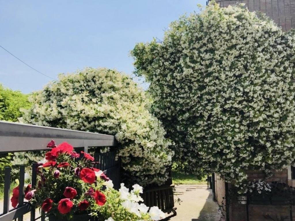 Rustico / casale a Zenson di piave - Foto 4