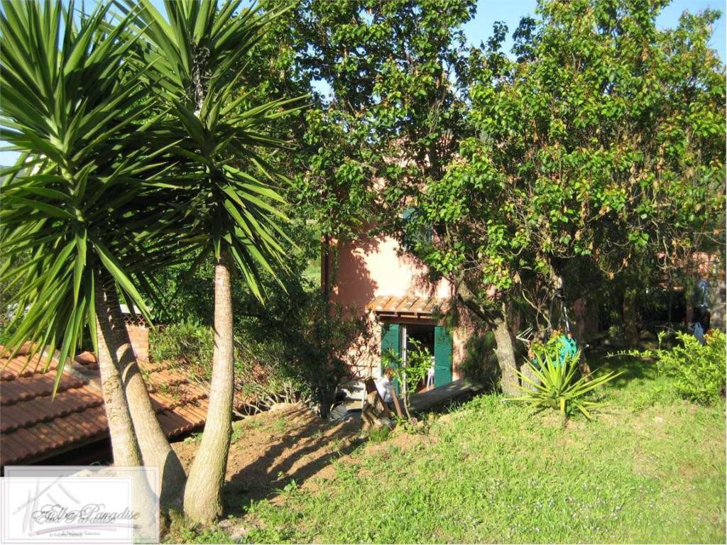 Casa indipendente a Rio - Foto 5