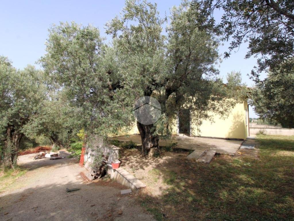 Villa a Fara in sabina in Località S. Pietro, 32 - Foto 3