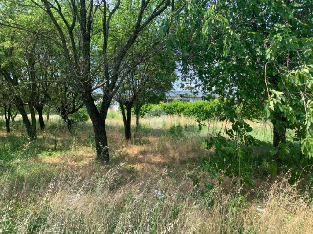 Terreno a Asola in Via Cremona, 40 - Foto 4