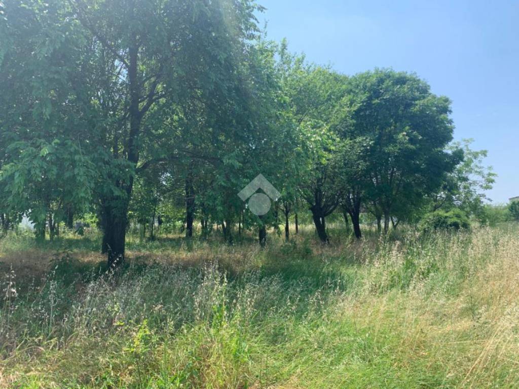 Terreno a Asola in Via Cremona, 40 - Foto 5