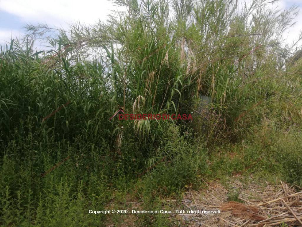 Terreno a Campofelice di roccella in Contrada Piane Vecchie - Foto 2