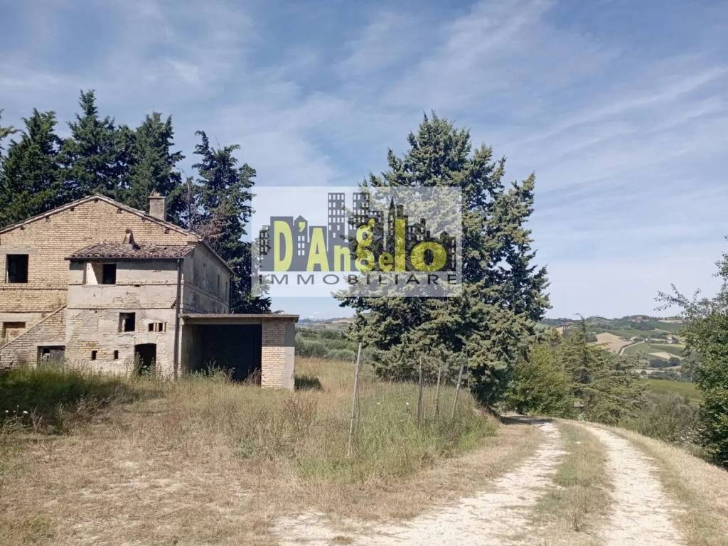 Rustico / casale a Offida - Foto 5
