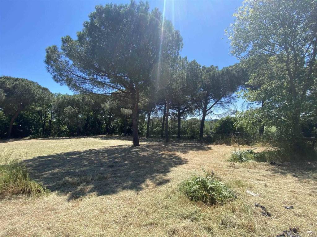 Rustico / casale a Castiglione del lago - Foto 5