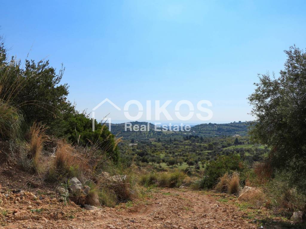 Terreno a Avola in c.da Bochini - Foto 3
