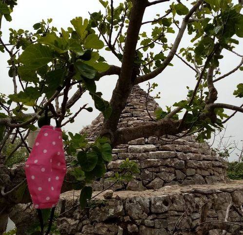 Terreno a Sammichele di bari in Contrada Macchia Caruso - Foto 3