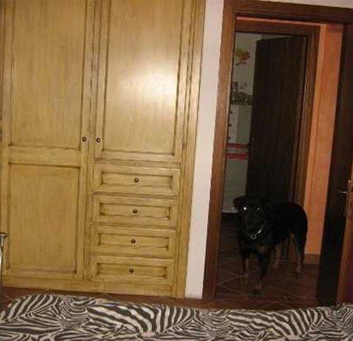 Appartamento a Bagni di lucca - Foto 3