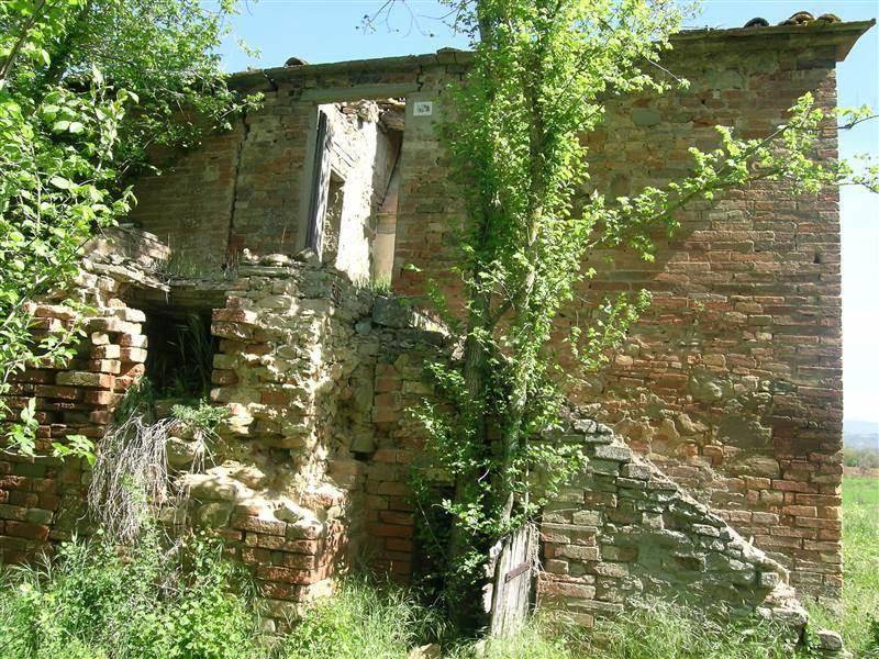 Rustico / casale a Cortona - Foto 3