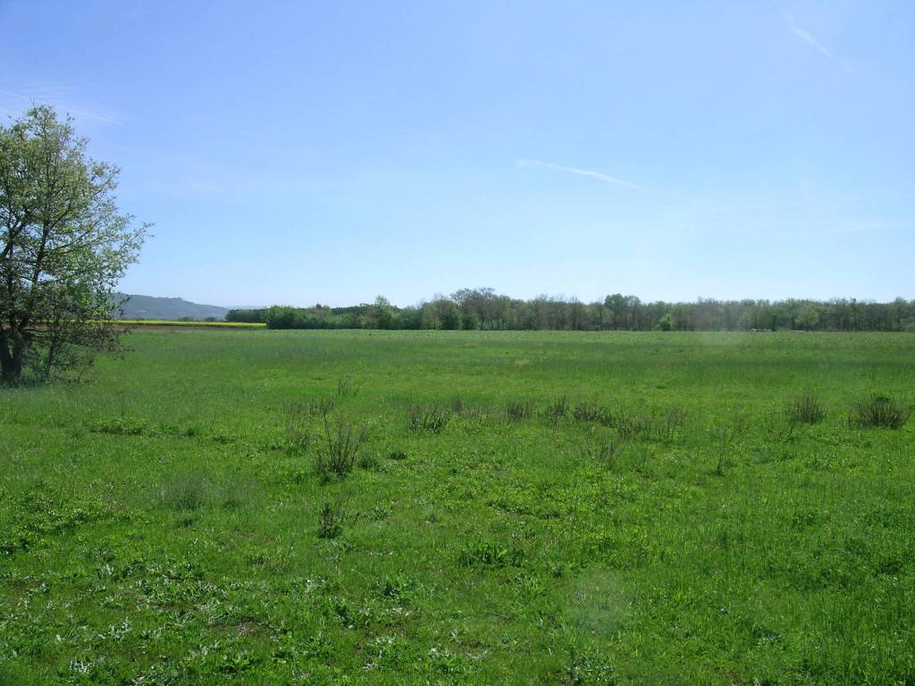 Rustico / casale a Cortona - Foto 5