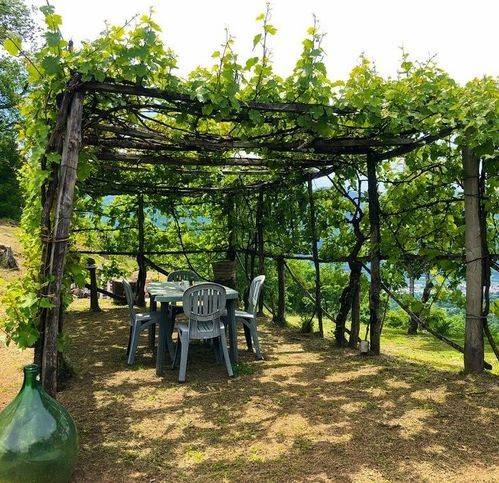 Rustico / casale a Coreglia antelminelli - Foto 3