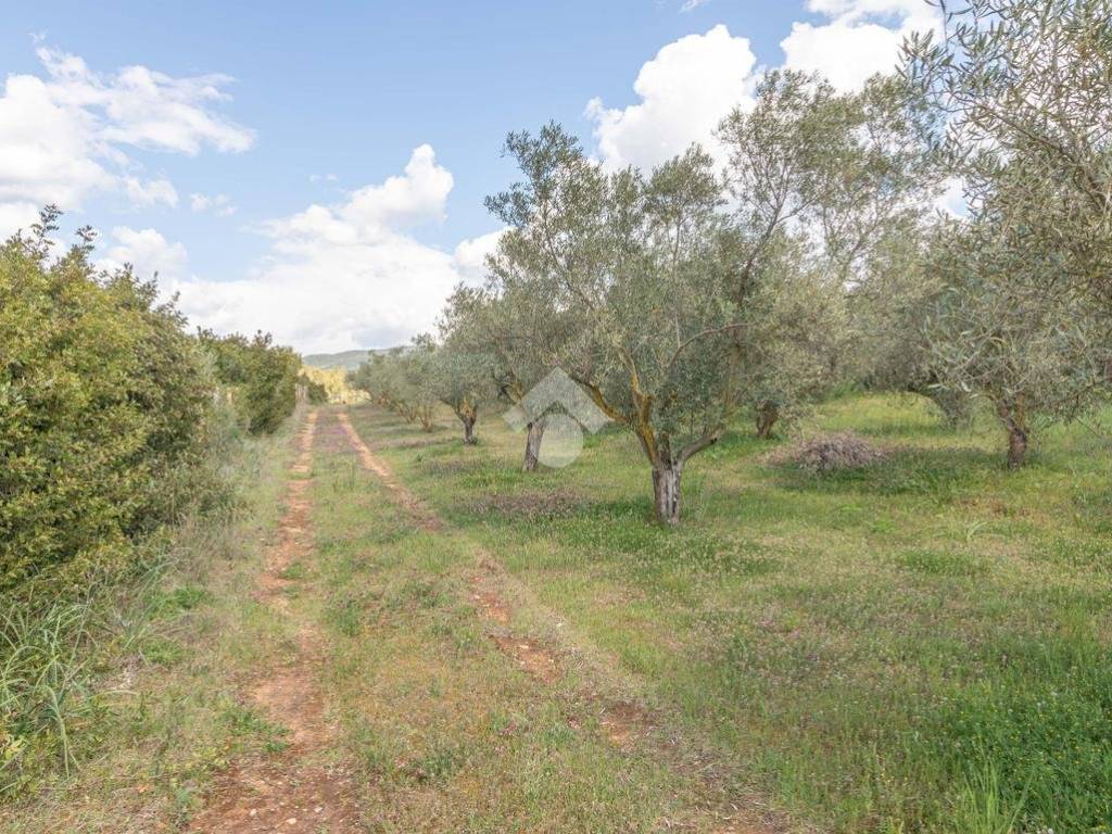 Terreno a Quartucciu in Via dei gigli - Foto 2