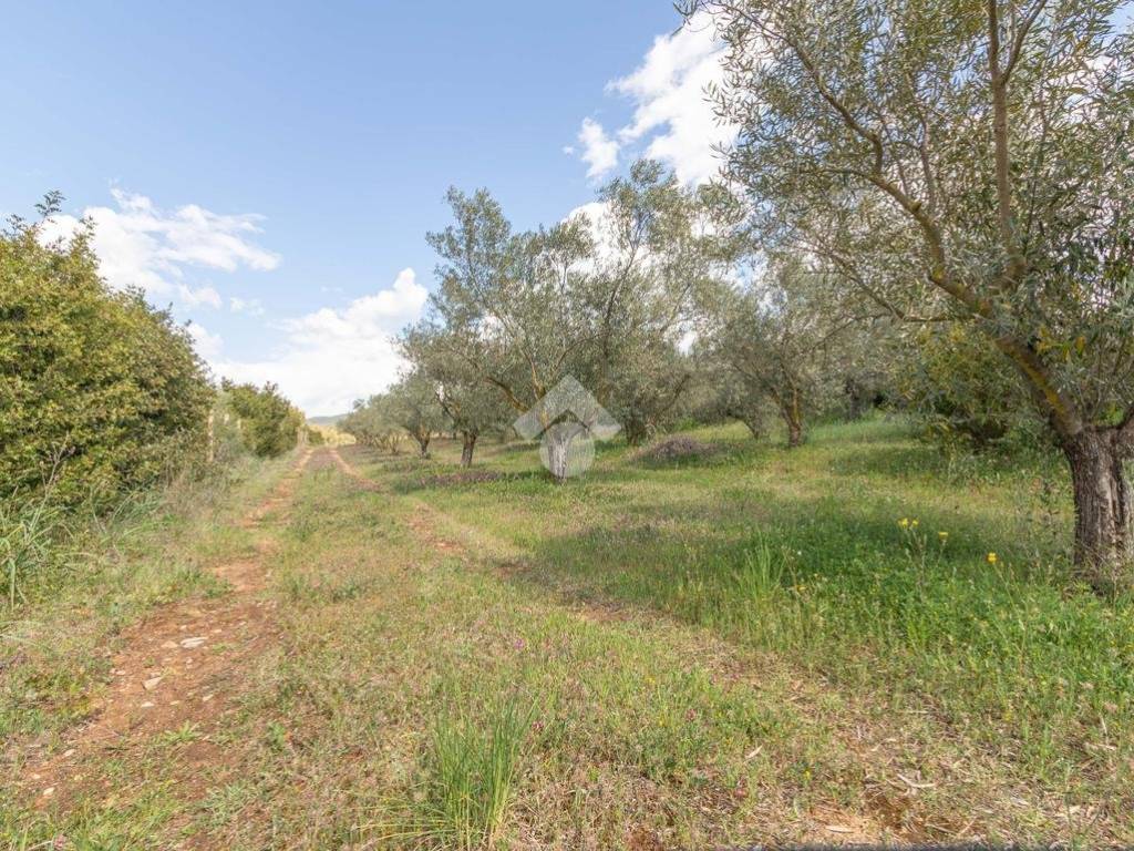 Terreno a Quartucciu in Via dei gigli - Foto 4