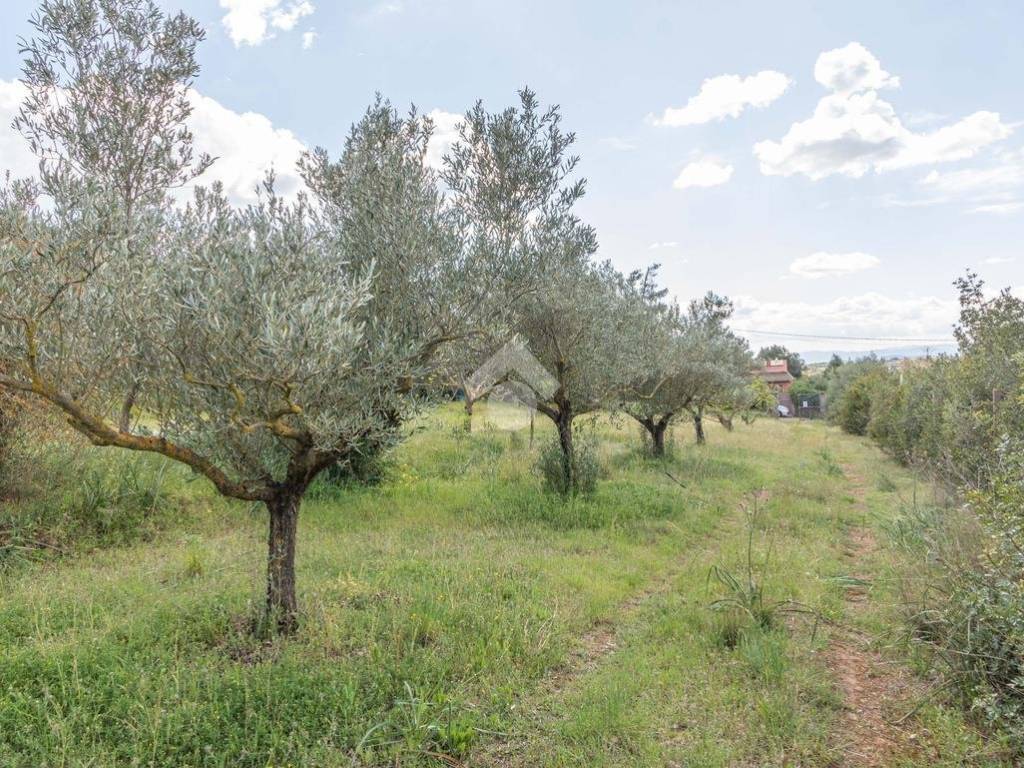 Terreno a Quartucciu in Via dei gigli - Foto 5