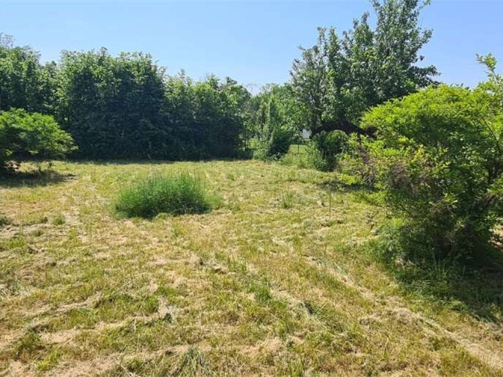 Rustico / casale a Aviano - Foto 5