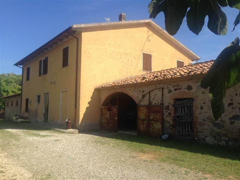 Immobile a Cinigiano - Foto 5
