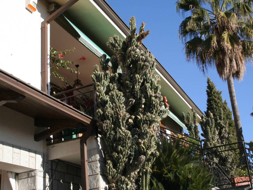 Villa a Camporosso in Strada Ciaixe, 52 - Foto 3