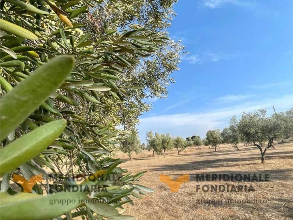 Terreno a Trepuzzi in Via Europa - Foto 4