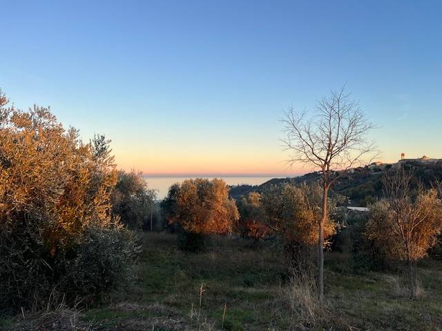 Terreno a Tortoreto in Via 24 Maggio - Foto 4