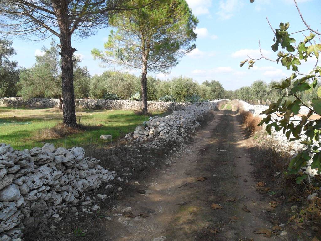 Terreno a Tricase in Ctr Messere Lupo - Foto 5