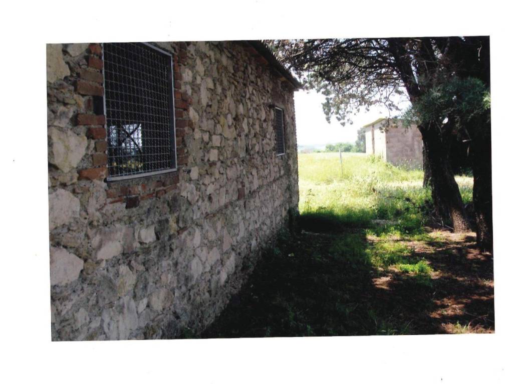 Rustico / casale a Rosignano marittimo in Via La Valle - Foto 5