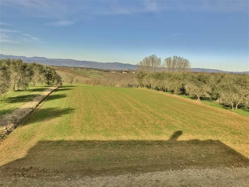 Casa indipendente a Castiglione del lago - Foto 2