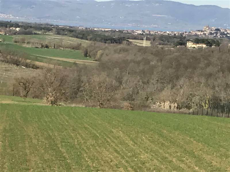 Casa indipendente a Castiglione del lago - Foto 3