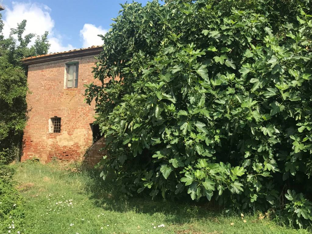 Rustico / casale a Castiglione del lago - Foto 5