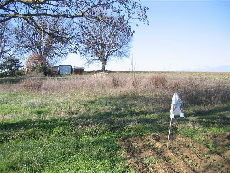 Terreno a Castiglione del lago - Foto 3
