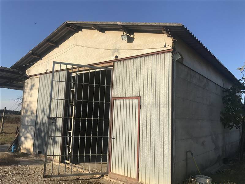 Rustico / casale a Castiglione del lago - Foto 4
