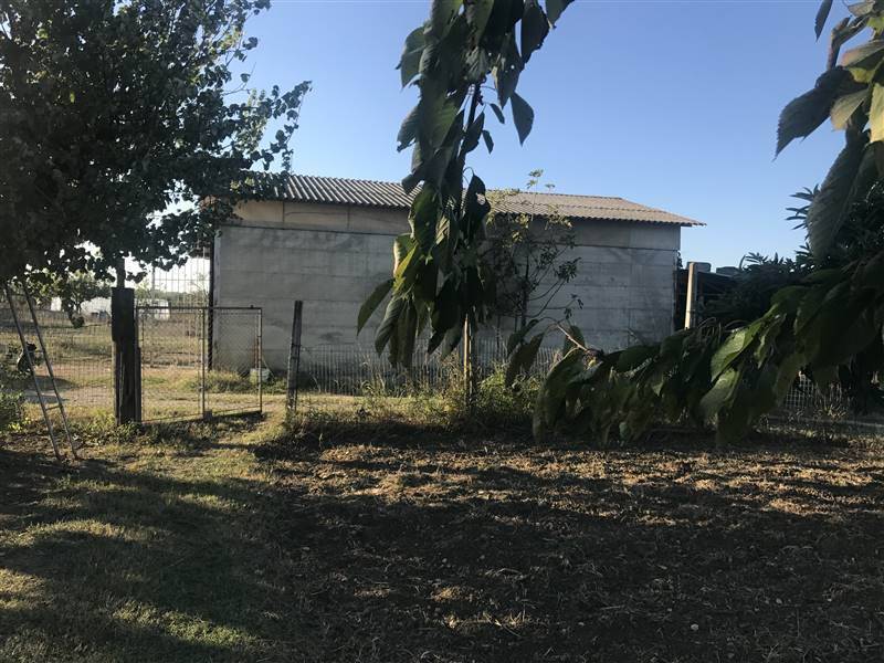 Rustico / casale a Castiglione del lago - Foto 5
