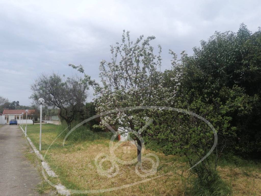 Villa a Foggia - Foto 3